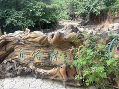 -燕塞湖鸟语林景区
