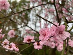 -同里国家湿地公园