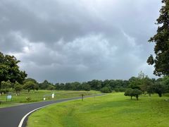 -宜兴龙背山森林公园