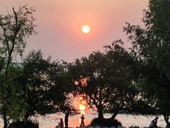 -宝安西湾红树林湿地公园