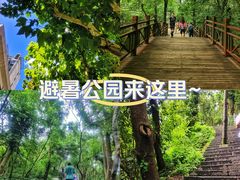 -紫金山山顶公园