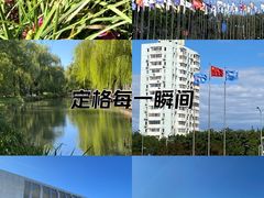 -海淀公园