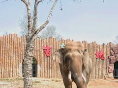 -济南野生动物世界