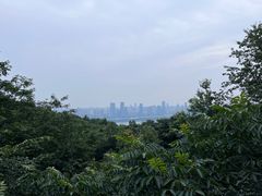 -岳麓山风景名胜区