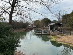 -梁鸿国家湿地公园