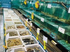 水产区-海岛渔村大酒店(云霄路店)