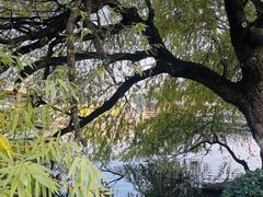 -东湖听涛景区