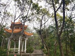 -紫马岭公园
