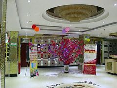 -维也纳KTV(平阳西路店)