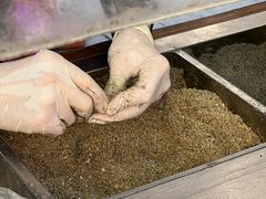 -叶氏麻糍(鼓浪屿店)