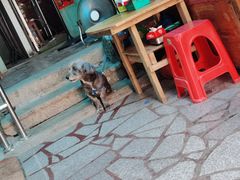 -老宅原住民沙茶面精品小吃(龙头路店)