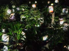 -泰特现代艺术馆