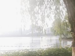-天鹅湖体育公园