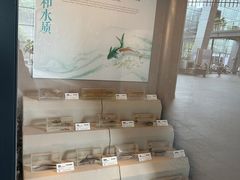 -杭州西湖博物馆总馆