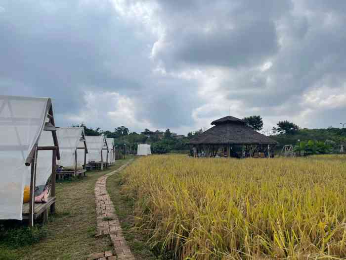 小草垛田野农场-"[薄荷]环境:远离城市喧闹,回归大自然.