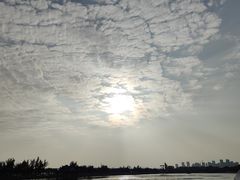 -龙舟池