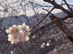 -妙峰山风景名胜区
