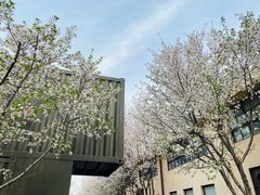 -智慧湾科创园