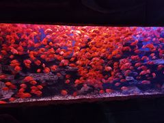 -多彩贵州城极地海洋世界