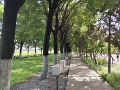 -汉长安城未央宫国家考古遗址公园