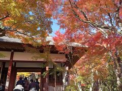 -常寂光寺