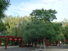 -大兴滨河森林公园