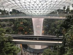 -樟宜机场免税店