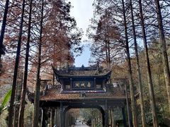 -青城山