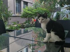 -厦门良筑精品酒店(厦门中山路店)