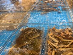 -新丁香海鲜酒店(银海商贸城店)