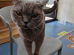 -宠颐生宠物医院外科·内科·皮肤科·影像科(石龙店)