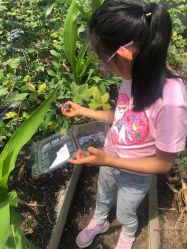 -蓝呗呗蓝莓草莓采摘园(通州区马驹桥店)