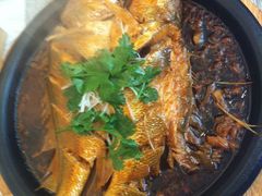 铁板黄花鱼-自由之丘