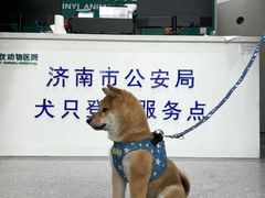-心仪动物医院·牙专科·肿瘤·心脏科(西客站院)