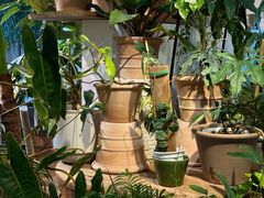 -自由生长植物工作室(深港花卉中心店)