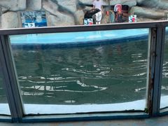 -泉州海丝野生动物世界