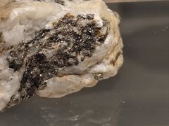 -甘肃地质博物馆