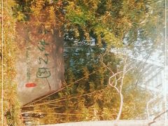 -活水公园