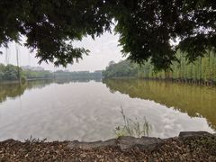 -三水森林公园