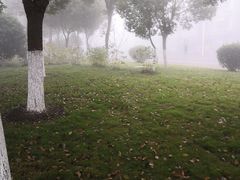 -江南大学(蠡湖校区)