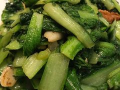 -八珍饺子·烤鸭·家常菜