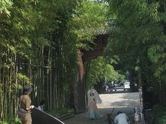 -龙潭水乡