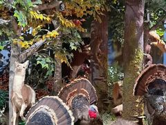 -陕西自然博物馆