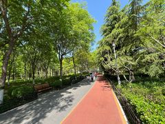 -大兴滨河森林公园