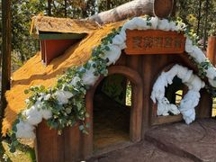 -南京银杏湖乐园