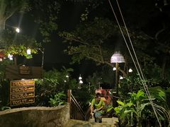 -卷心菜和避孕套餐厅(Pattaya)