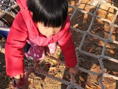 -田园东方蜜桃村的田野营地