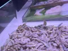 -聚盛源蒸汽海鲜火锅烤肉自助(巨川金海岸购物广场店)