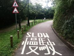 -太平山顶