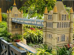 -南宫五洲植物乐园